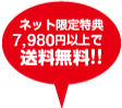 40箱以上で全国送料無料